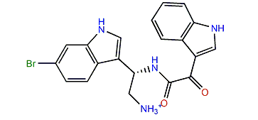 Calcicamide A